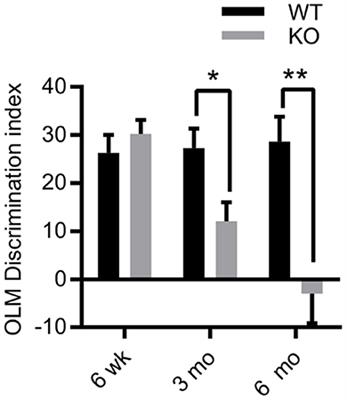 Genetic removal of synaptic Zn2+ impairs cognition, alters neurotrophic signaling and induces neuronal hyperactivity